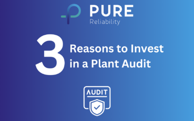 3 Reasons to Invest in a Plant Audit